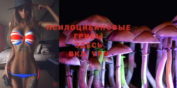 PSILOCYBIN Кукмор