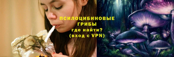 PSILOCYBIN Кукмор