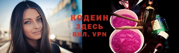 PSILOCYBIN Кукмор