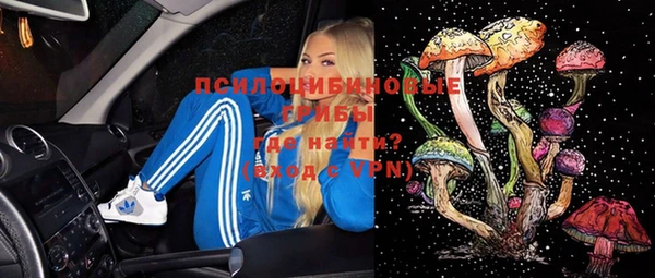 прущие крисы Кулебаки
