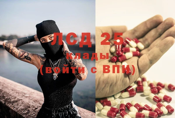 PSILOCYBIN Кукмор