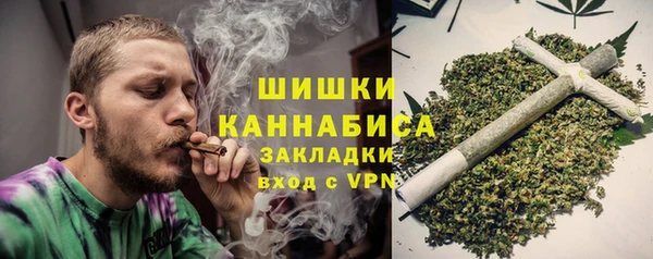 PSILOCYBIN Кукмор